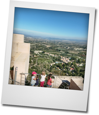 Vistas carrícola