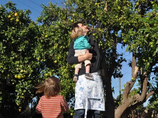 Coger fruta del árbol