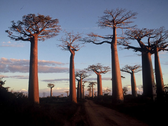Madagascar con niños