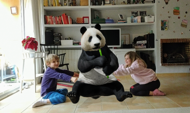Panda en casa