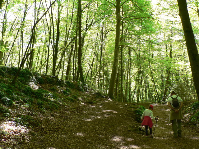 Fageda dén Jordá