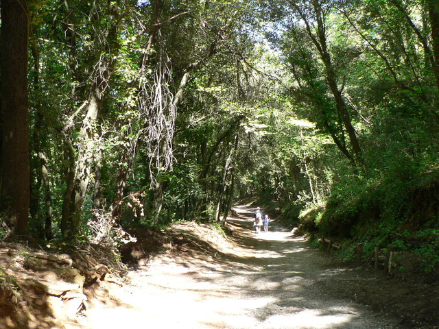 Subida a Santa Margarita