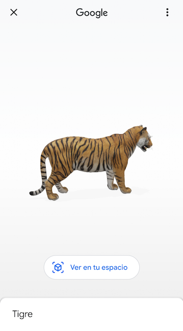 El truco de Google para ver un tiburón o un tigre en 3D en el