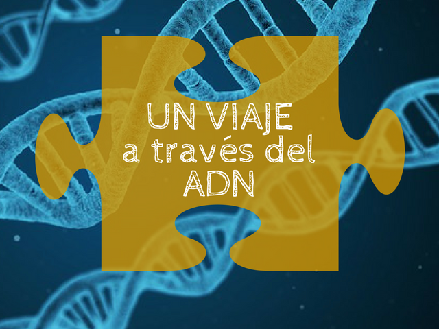 Un Viaje a través del ADN