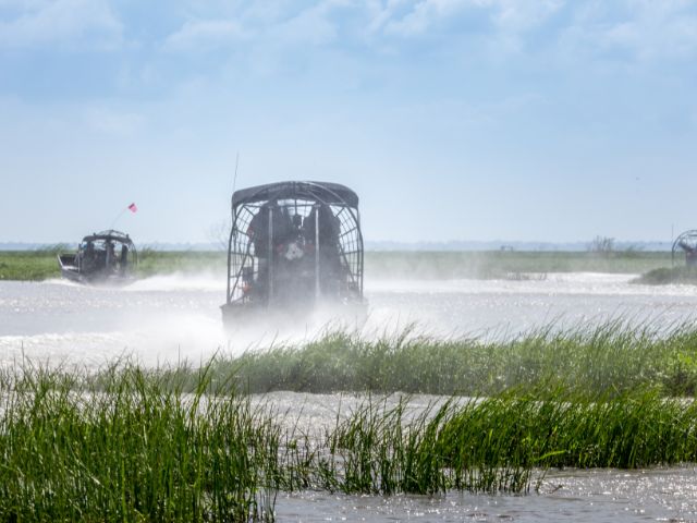 Visitar los Everglades