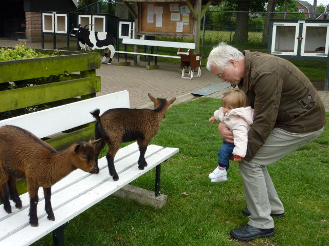 visitar una granja con niños