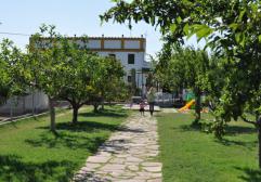 Horchatería vida Valencia