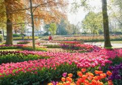 Todo lo que necesitas saber para visitar Keukenhof en 2026