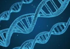 Un viaje a través del ADN