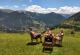 Viaje a Andorra con niños en verano
