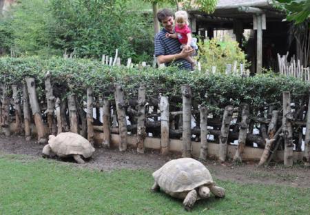 Bioparc Valencia con niños