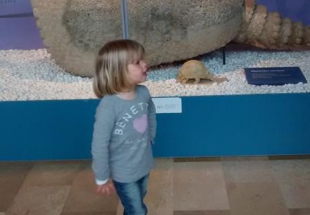 Museo de las ciencias naturales en el parque vivero